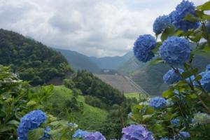 大峠道路からの日中ダム