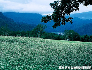 たかつえ高原