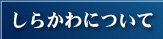 しらかわについて