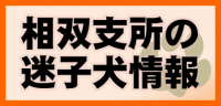 相双支所の迷子犬情報