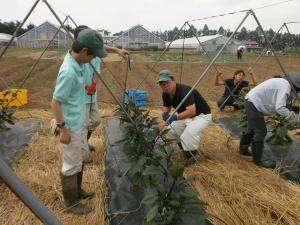 野菜経営学科