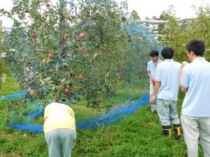 果樹経営学科