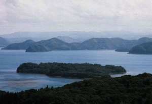 翁島県有林