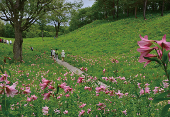 高清水自然公園（ひめさゆり群生地）