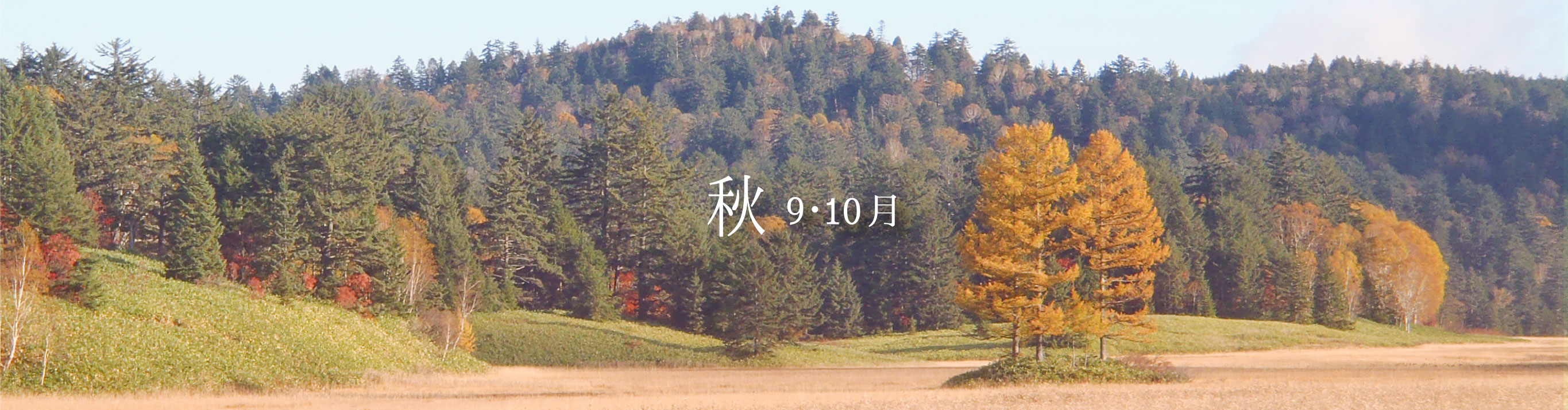 秋9・10月