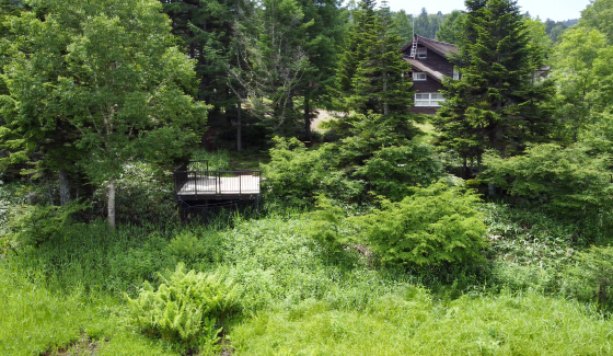 尾瀬沼地区の再整備1