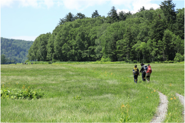 尾瀬沼往復コースは、今の尾瀬を知ることができる2