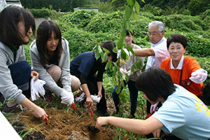 ボランティア植樹の様子