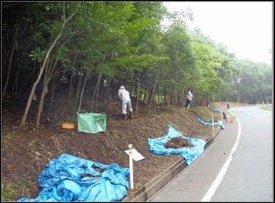 道路路肩の除染の様子の写真