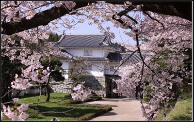 霞ヶ城公園の写真