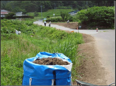 道路除染状況の写真