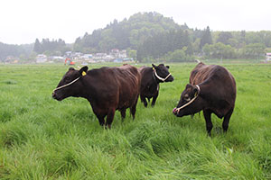 12.飯舘村の状況画像