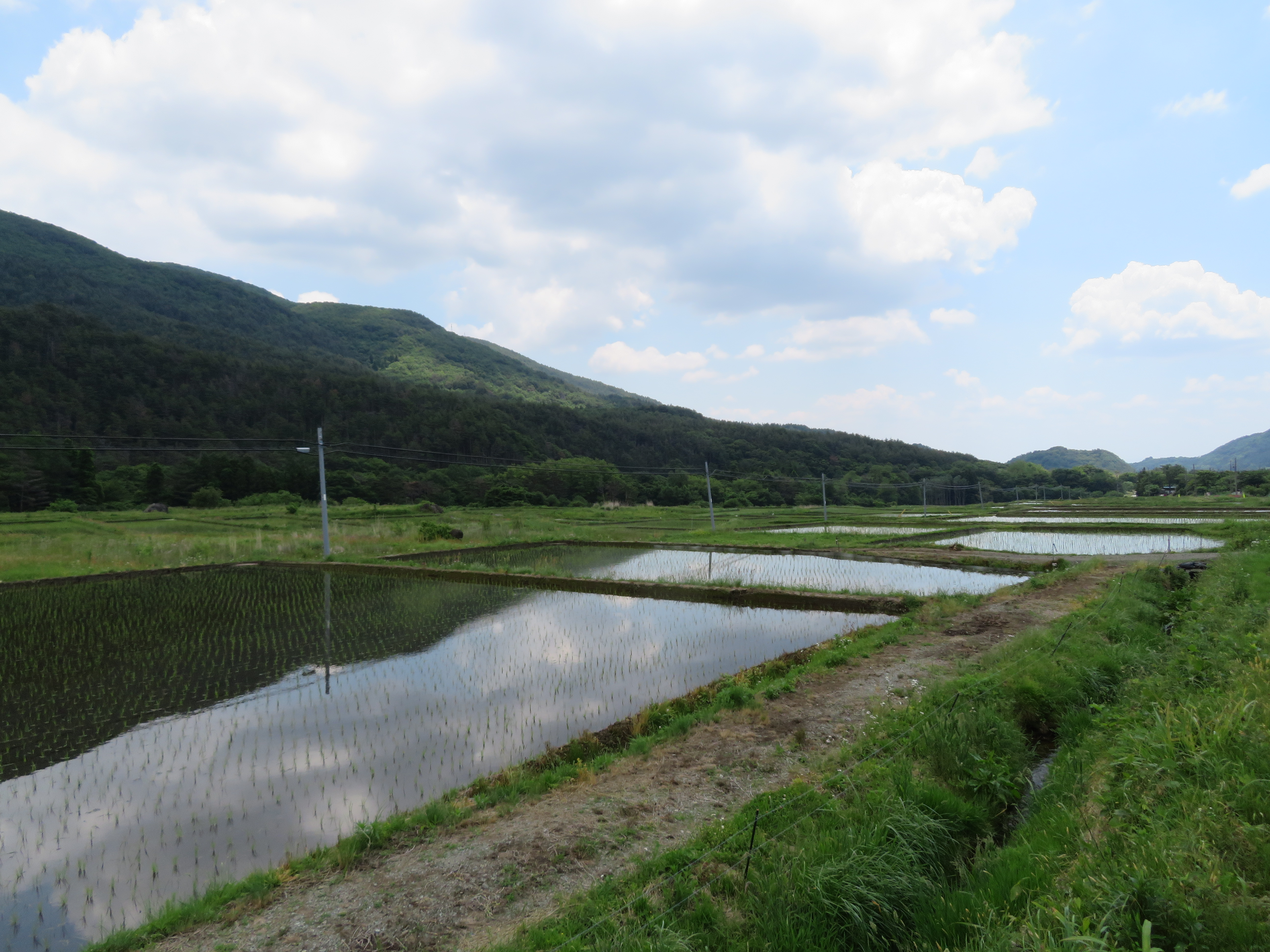 熱海の棚田