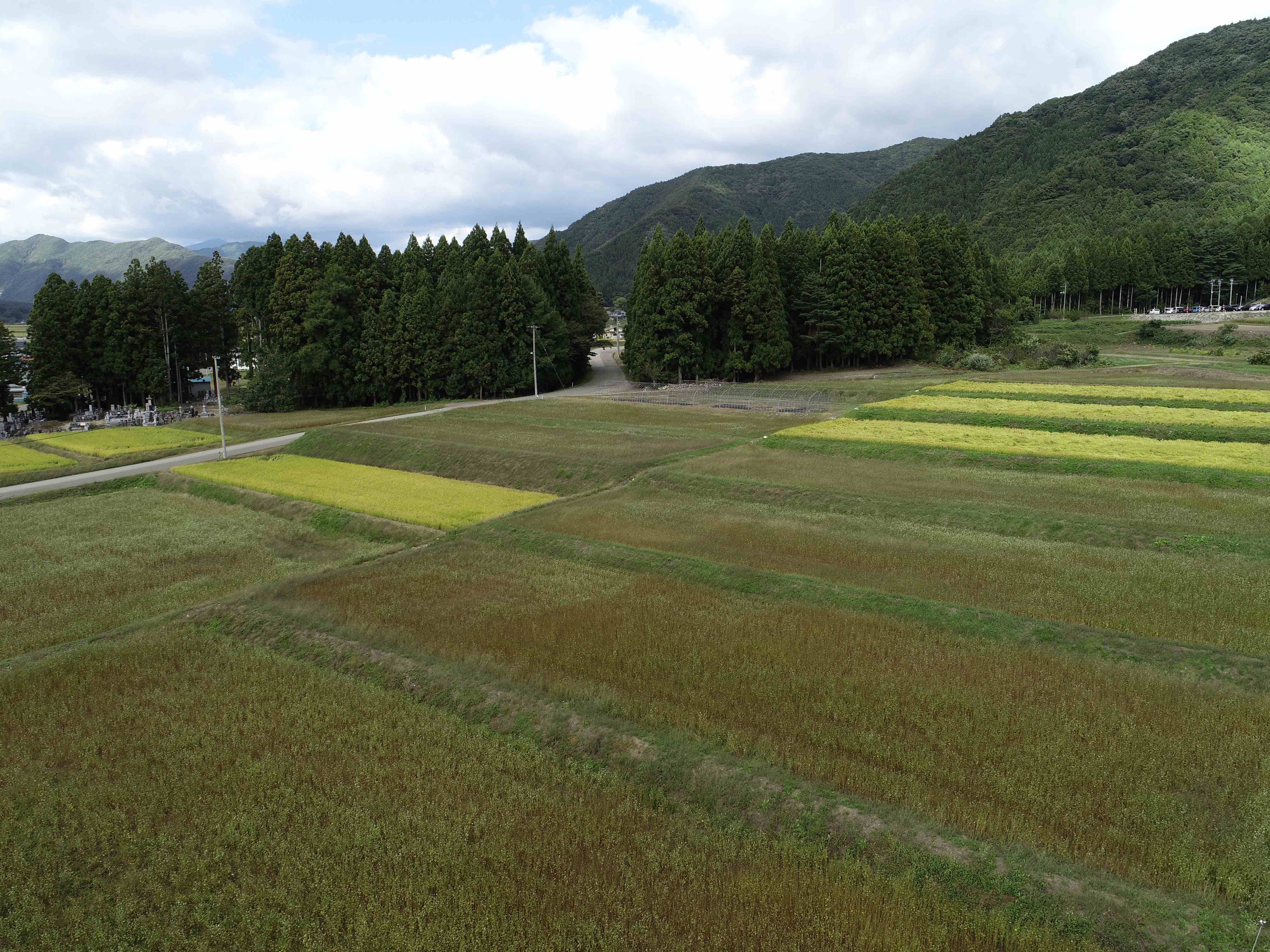 下館・志津２