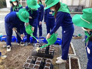 いわき市立綴小学校